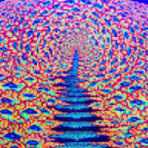 Meet your Posher, Kamilah